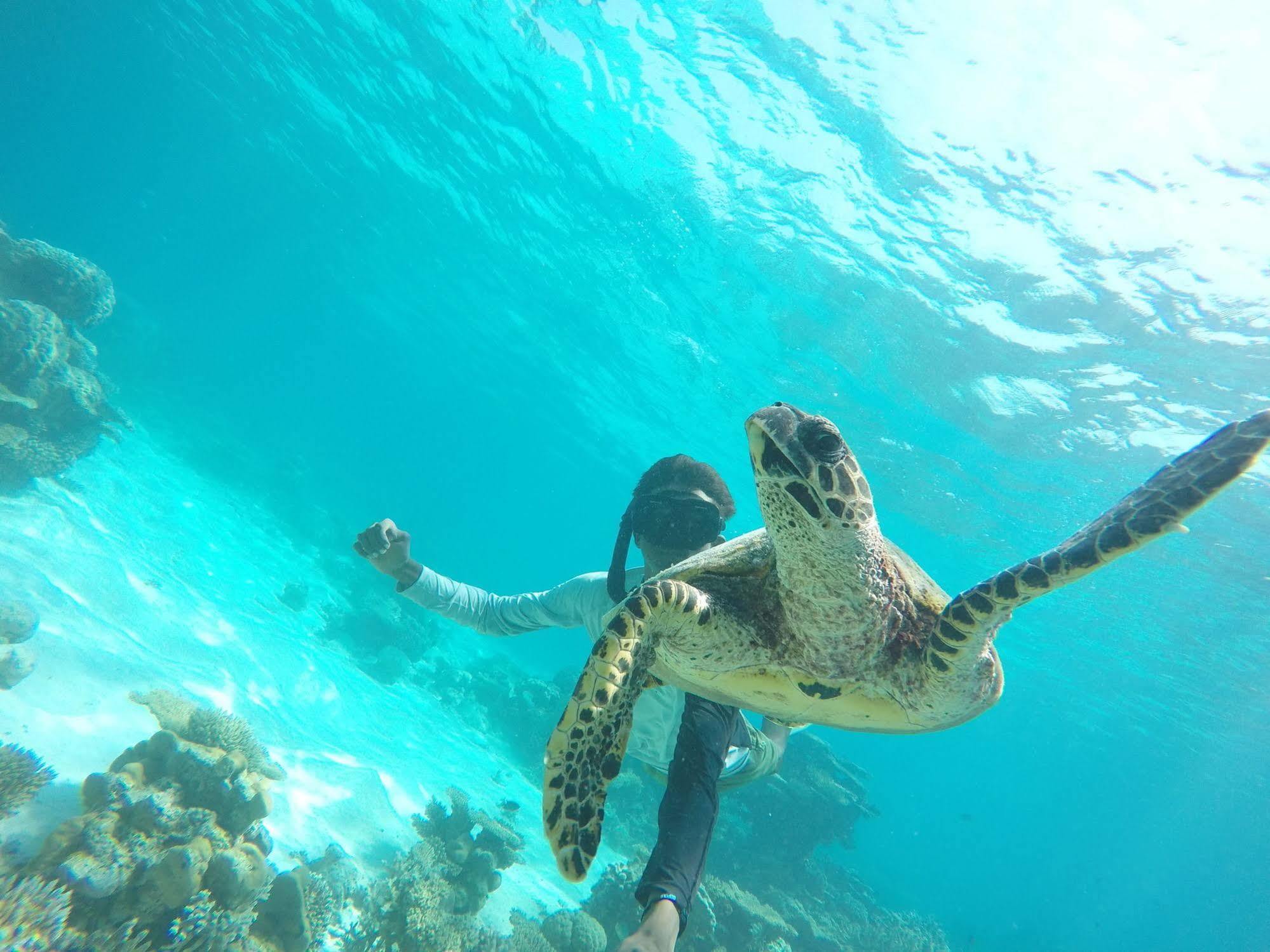 Lily Rest Maldives Hotell Maafushi Exteriör bild